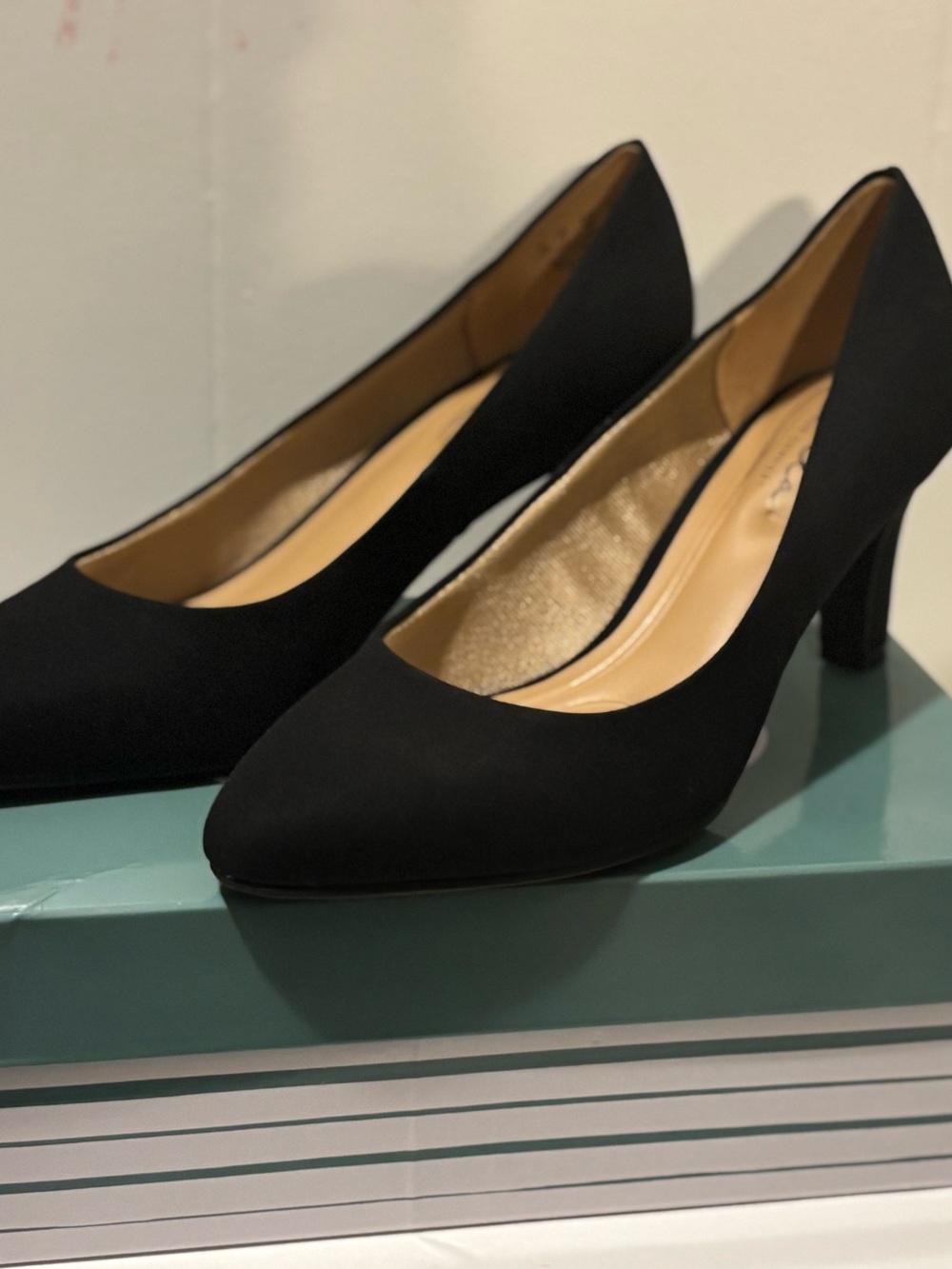 Abella Black Pointed-Toe Mid Heel Pumps